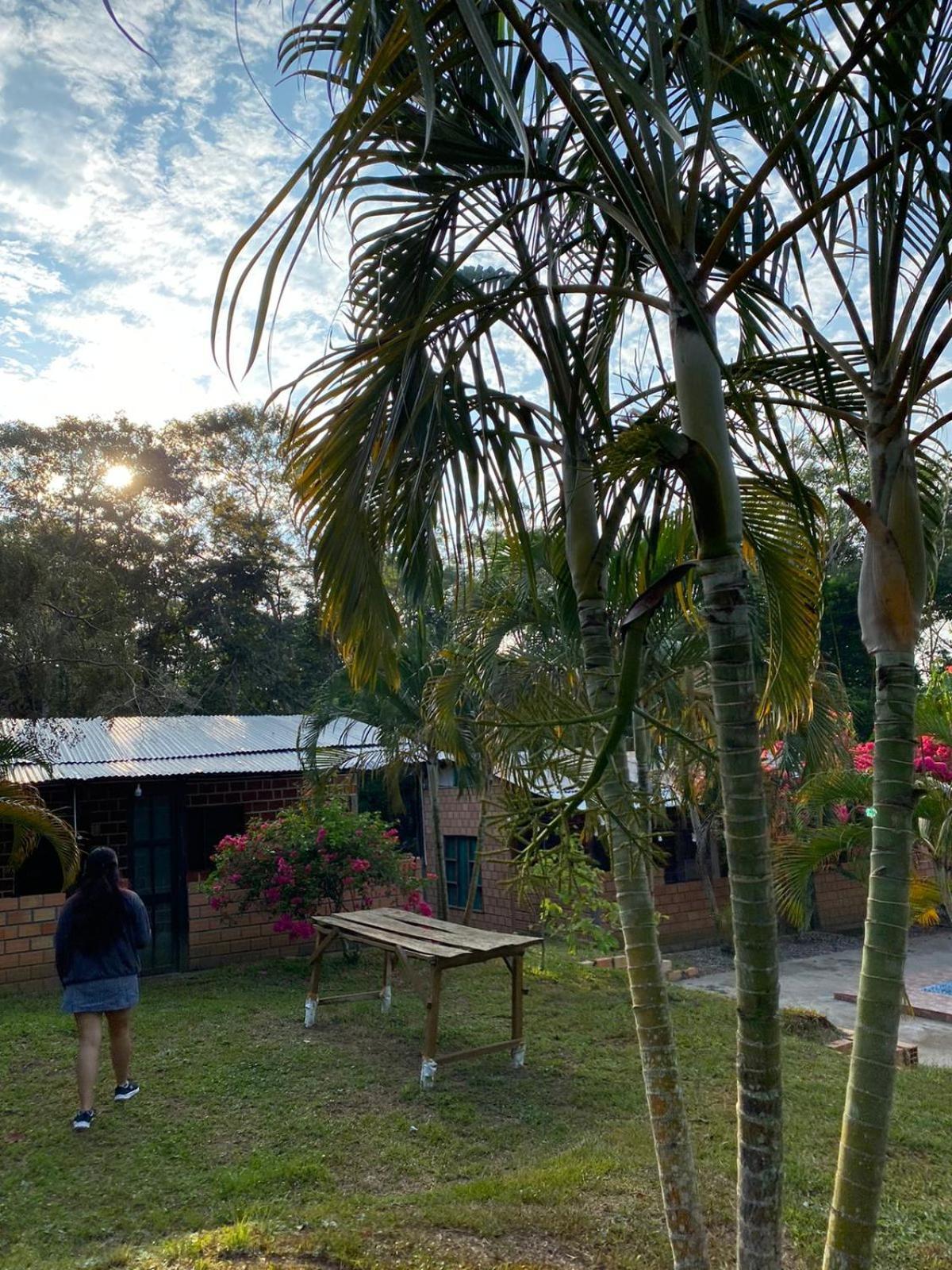 Choclino Ecolodge -Bungalows Tarapoto Eksteriør bilde