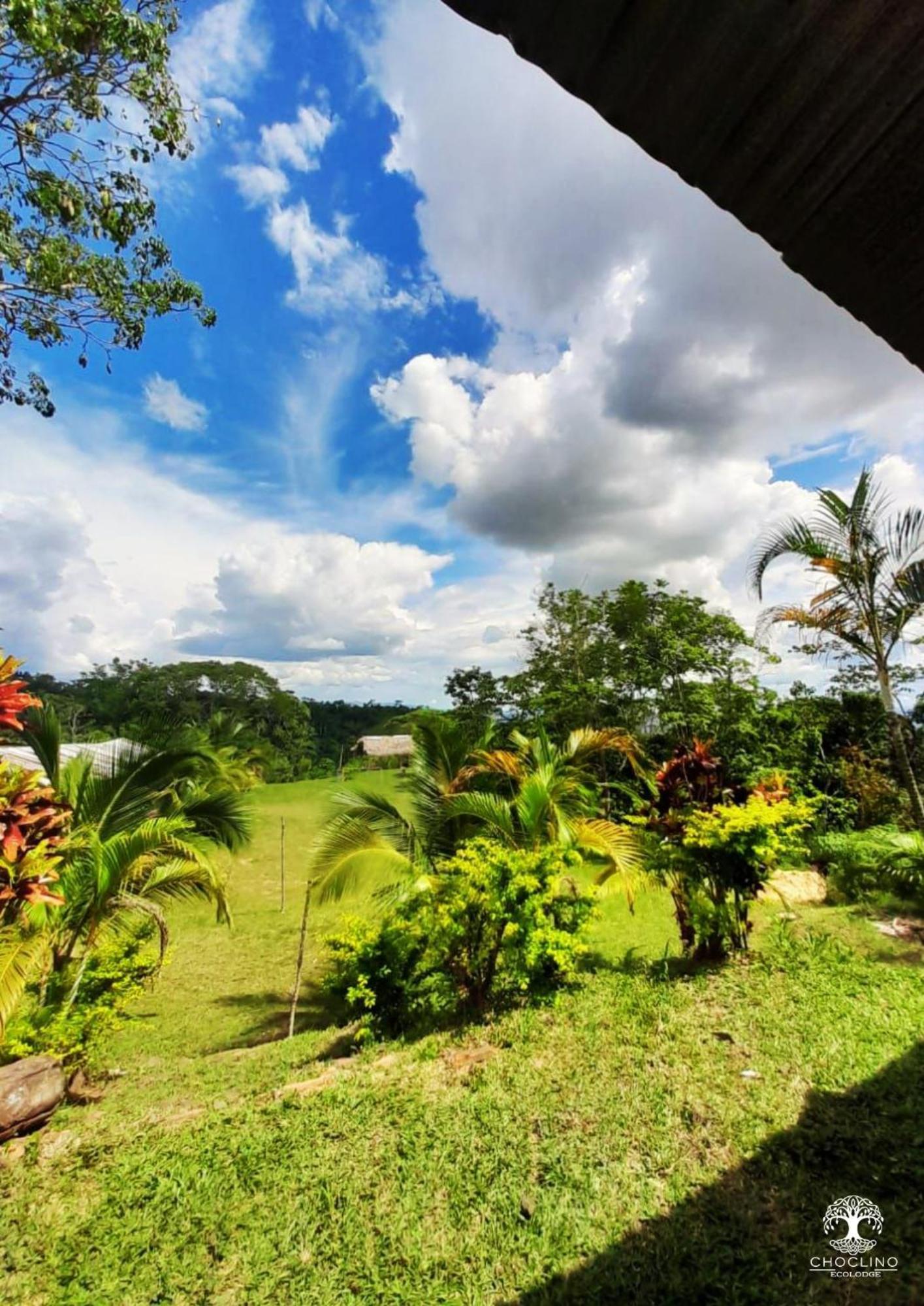 Choclino Ecolodge -Bungalows Tarapoto Eksteriør bilde