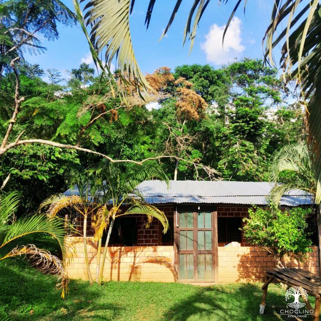 Choclino Ecolodge -Bungalows Tarapoto Eksteriør bilde
