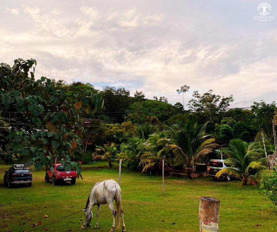 Choclino Ecolodge -Bungalows Tarapoto Eksteriør bilde