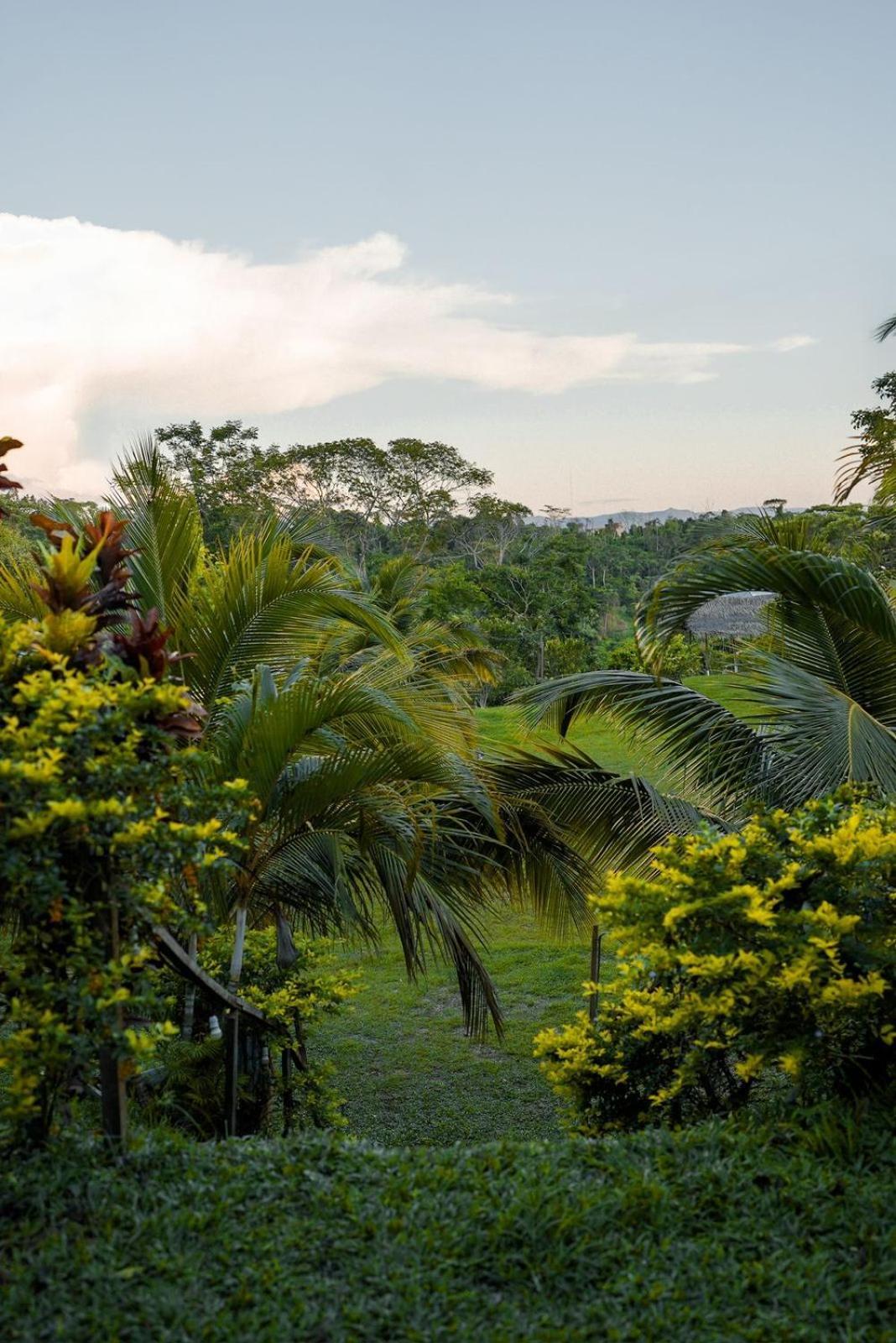 Choclino Ecolodge -Bungalows Tarapoto Eksteriør bilde